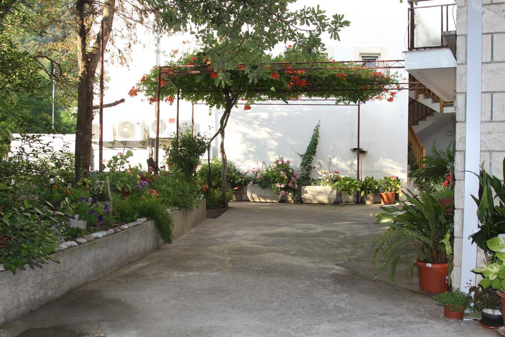 Becic Daire Budva